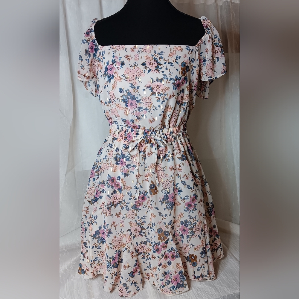 Francesca's Collections Mi Ami Pink/ Blue Floral Ruffled Mini Dress Size M